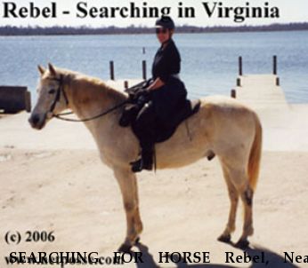 SEARCHING FOR HORSE Rebel, Near South Boston, VA, 00000